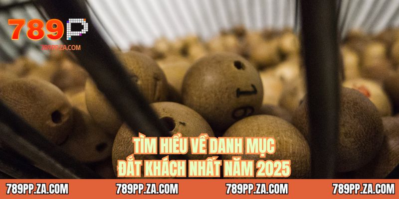 Tìm hiểu về danh mục đắt khách nhất năm 2025